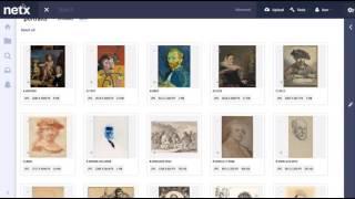 Netx digital asset manegement - Simple DAM