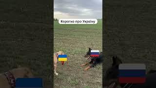 Ukraine forever #countries #animation #meme #memes #flags #Ukraine #fyp #UA_ball #UA #shorts