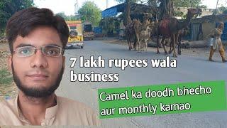 Camel ya oont ka doodh bach kar mahana 7 lakh rupees kamein | Business in Pakistan