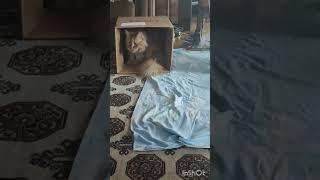 Вот хороший помощник. 