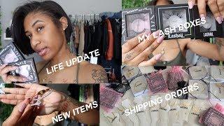 CHIT CHAT POWM: New Lash Boxes, New Items + More! | Ky Lashaii