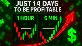 You Only Need 14 Days To Master This To Finally Be Profitable | If You Are A Beginner
