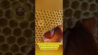 Pure Organic Honey @200kgimum order 5kgs.....Cnact number @7396990294