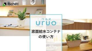 ウルオ｜底面給水コンテナの使い方【リッチェル公式 園芸用品】