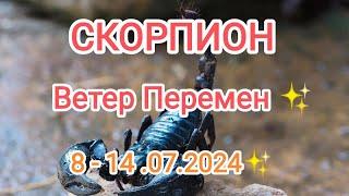 СКОРПИОН 8 - 14 июля 2024. Тароскоп.