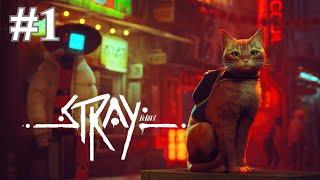 STRAY Gameplay Walkthrough Part 1 FULL GAME - No Commentary