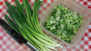 Freezing Green Onions ~ Money Saving Tips ~ No More Cash in the Trash! ~ Noreen's Kitchen