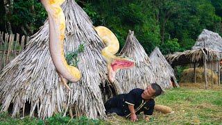 Dwarf Family Discovers the Deadly Truth About Giant Pythons on Their Farm