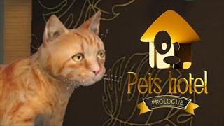 РЫЖИЙ БАГОЮЗЕР #2 Pets Hotel