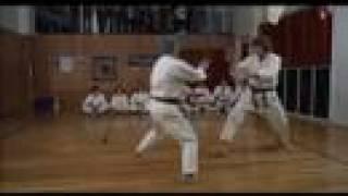 Soke Kubota in THE MECHANIC (1972) | Legendary Budo Masters