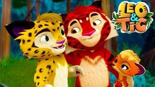 Leo and Tig  All episodes in row  Funny Family Good Animated Cartoon for Kids