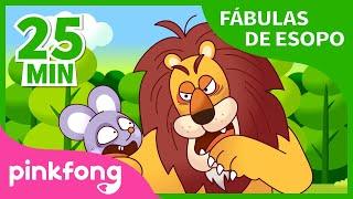 El Viejo León y la Zorra y más fábulas de esopo | +Recopilación | Pinkfong Cuentos Infantiles