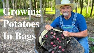 Planting Potatoes in Growbags!