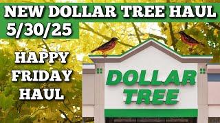 NEW DOLLAR TREE HAUL 5/30/25