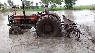 Rice Farming in Pakistan. Land Preparation for Rice cultivation and Planting. Rice Land Preparation