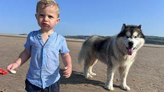 Adorable Baby Boy First Time At The Beach! Teddy Gets Stranded At Sea!!