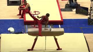 Asher Hong - Pommel Horse - Team/AA - 2018 Pacific Rim Championships