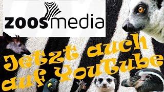 zoos.media: Jetzt auch auf YouTube | Kanaltrailer