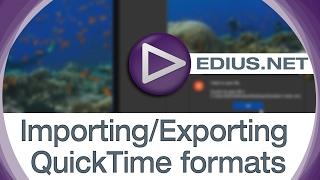 EDIUS.NET Podcast - Importing/Exporting QuickTime formats