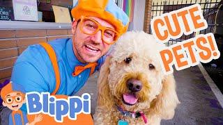 Blippi Takes Care of Cute Pets in the Animal Shelter | Blippi Full Episodes | Animal Videos for Kids