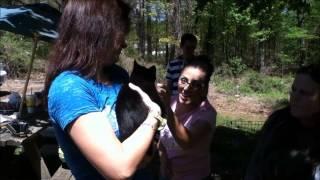 jcpenney visiting our shelter ( animal protection society of caswell county)