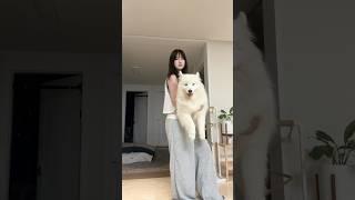 You Want A Large Dog? This Is The Reality..