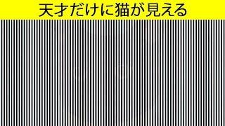 君の脳を始動させる楽しい目の錯覚特集