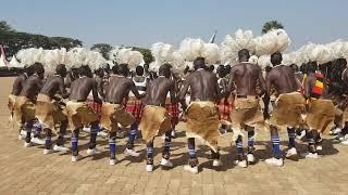 Bwola - The Acholi Royal dance
