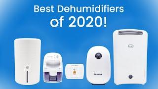  TOP 5: Best Dehumidifiers of 2020!