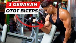 3 GERAKAN INI WAJIB UNTUK MEMBENTUK OTOT BICEPS