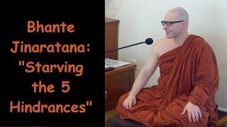 Bhante Jinaratana | Starving the 5 Hindrances | Dhamma Discussion at Dhammagiri | #buddhism #dhamma