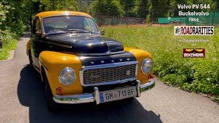 Lazy Willi - Volvo PV 544 Favorit B 18 1964