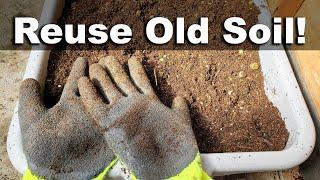 How To Reuse Old Potting Soil - FOUR ways!