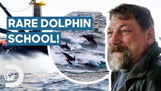Rare Dolphins Help Jonathan Hillstrand’s Crew Locate HUGE Crabs! | Deadliest Catch
