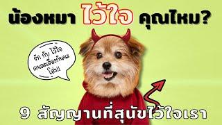 9 สัญญาณที่บ่งบอกว่าสุนัขไว้วางใจเรา #ECOBOK