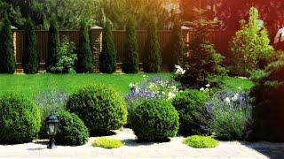 Оригинальные творческие идеи для дачи и сада / Examples of landscape design / A - Video