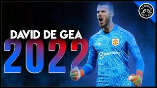 David de Gea ● The Wall Of Manchester ● Crazy Saves & Best Passes -2022/23 (FHD)