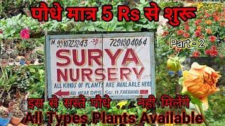 Surya Nursery ! Nursery In Faridabad ! Plant Nursery ! Nursery in Delhi NCR ! Nursery Visit ! नर्सरी