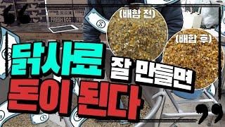 건강한 닭을 키우기 위한 #사료배합 #닭사료 꿀팁 #하루한알 낳는 닭사료