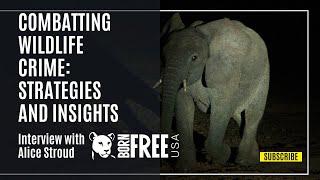 Combatting Wildlife Crime: Strategies and Insights from Born Free USA