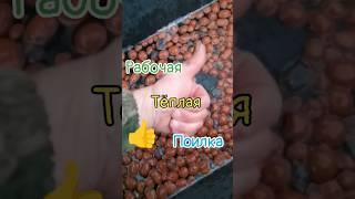 Тёплая поилка для пчёл, рабочий вариант!