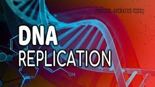 DNA Replication | Helicase | leading strand | Lagging strand | Okazaki fragments