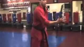 Jason Lau Martial Arts Highlight Video
