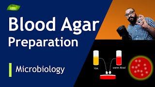 How to Prepare Blood Agar | Media Microbiology Lab | Hemolysis Detection | Basic Science Series