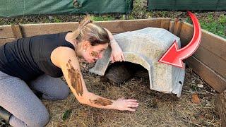 DIGGING UP BABY TORTOISES TRAPPED UNDERGROUND! WILL WE SAVE THEM?!