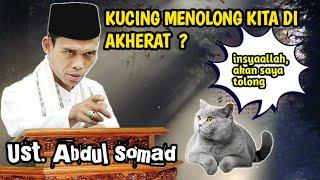 BENARKAH KUCING MENOLONG MANUSIA DI AKHIRATUstadz abdul somad