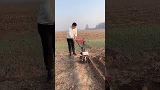 small gasoline micro-cultivation machine, hoeing machine and trenching machine.#ytshorts #tools