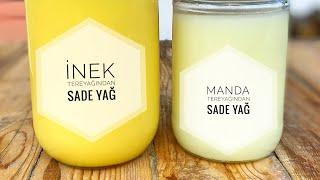 Sade Yağ Nasıl Yapılır? Manda Tereyağından Sade Yağ Yapımı - How to Make Ghee