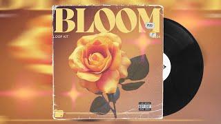 (ROYALTY FREE) Guitar Loop Kit 2024 - Bloom (Emotional, Juice Wrld, Kid LAROI)