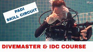 PADI Divemaster Skills Circuit and IDC Skills Circuit - Get the Best Scores!